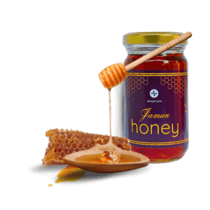 Jamun Organic Honey 250 ml